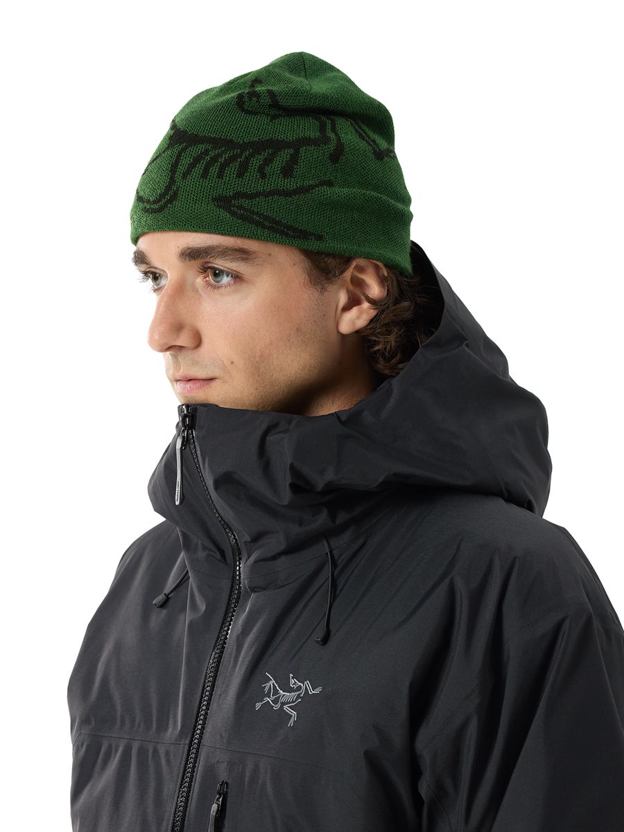ARC’TERYX Bird Head Toque Eden / Black Arcteryx-Bird-Head-Toque-